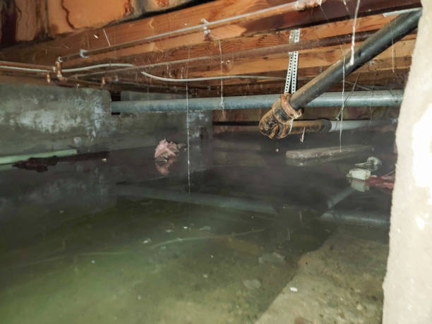 Best Water damage restoration near me  in Rochester Hills, MI