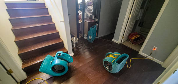 Best Flood restoration services  in Rochester Hills, MI