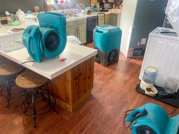 Best Professional water damage repair  in Rochester Hills, MI