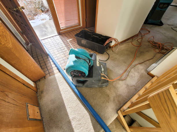  Rochester Hills, MI Water damage restoration Pros
