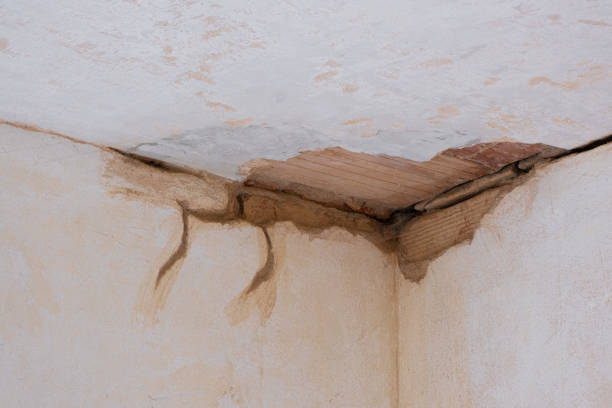 Best Water damage repair service  in Rochester Hills, MI