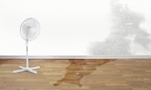 Trusted Rochester Hills, MI Water damage restoration Experts