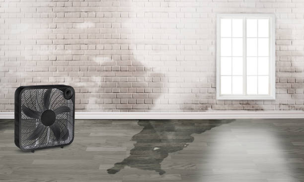 Best Sewage cleanup and water damage restoration  in Rochester Hills, MI
