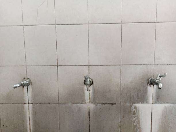 Best Water damage restoration services  in Rochester Hills, MI
