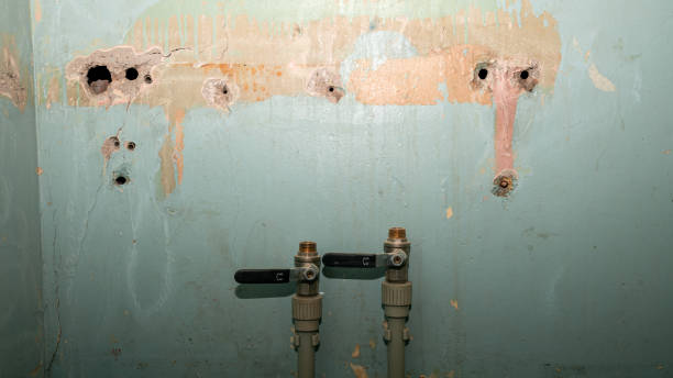 Best Carpet water damage restoration  in Rochester Hills, MI