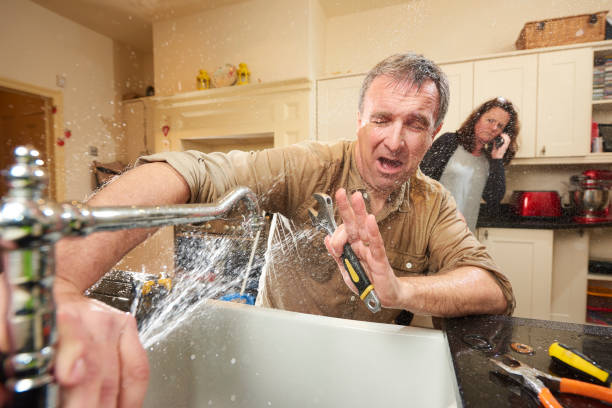 Best Mold removal after water damage  in Rochester Hills, MI